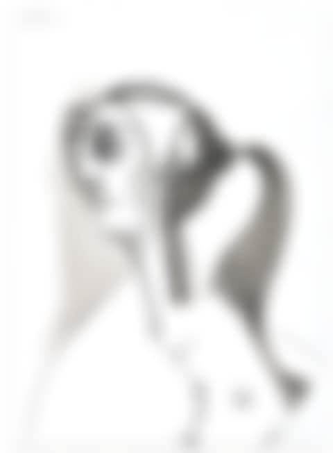 FEMALE PROFILE (preview)