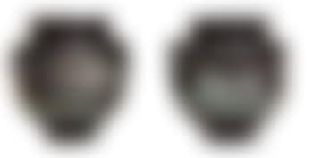 Vases oreilles (preview)