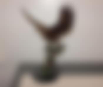 Untitled (preview)
