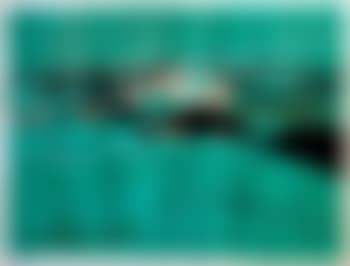 Le Paysage (preview)