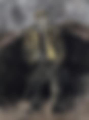Standing portrait of capped farmer with stick (preview)