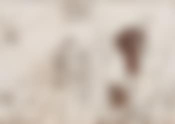 Zu Brief an Mirjam (preview)