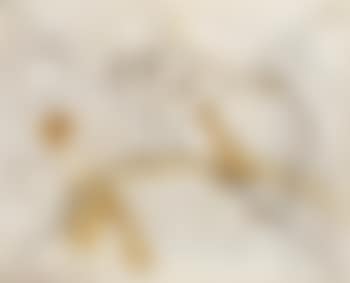 Hagen von Tronje´s verlorenes Augenlicht (preview)