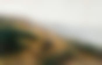 Landschap met veehoeder (preview)