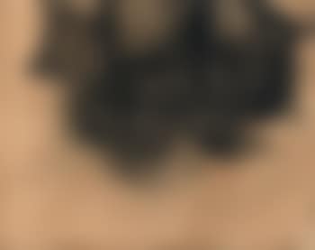 Visserssloep (preview)