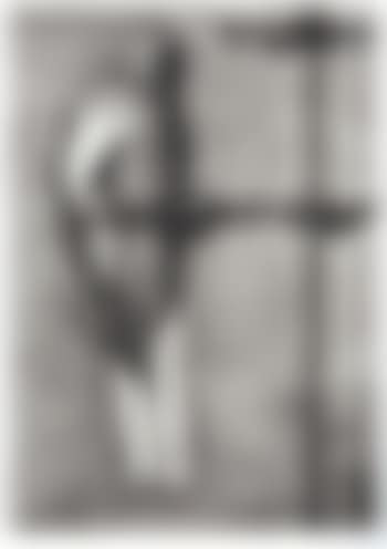 Bird catcher (preview)