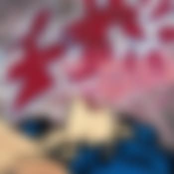 When the roses bloom again (preview)