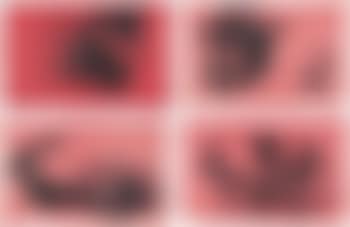 Untitled (Pink Bosoms) (preview)