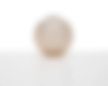 Palmes vase (preview)