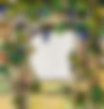 Grape Trellis Window (preview)
