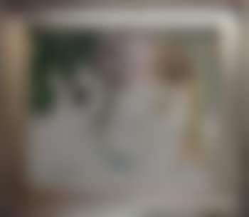 Woman With Dogs (preview)