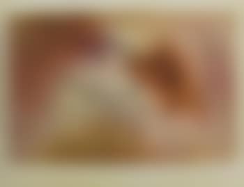 [Untitled] (preview)