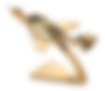 Untitled (preview)