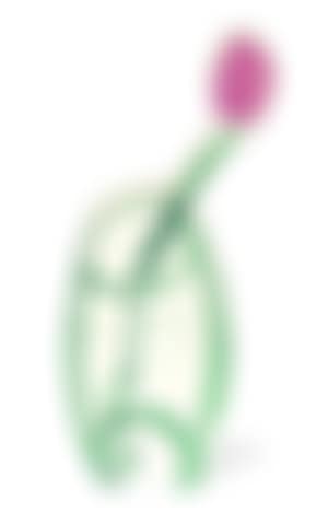 Tulip in a vase (preview)