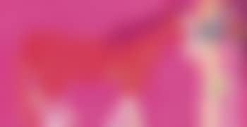 Pink horse and two ladies (preview)