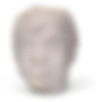 Head of a Young Man (preview)