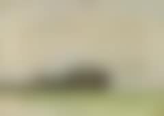 Landskabsstudie. Landscape study. Early spring.  In the foreground a wide, bright green field. In the middle and to the left a group of trees, which decreases towards the left. Light grey sky (preview)