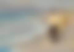 Two fishermen on Skagen Nordstrand (North Beach) (preview)