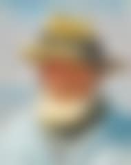 A fisherman from Skagen in bright sunlight on the beach with the sea in the background (preview)
