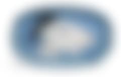Tëte de chèvre de profil (preview)