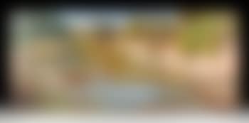 Hill country stream (preview)