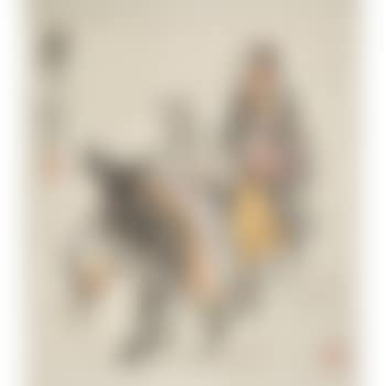 Girl herding donkeys (preview)
