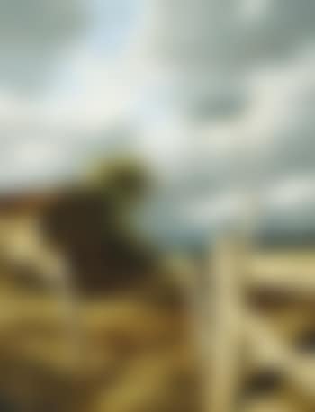 Afternoon in the Country (preview)