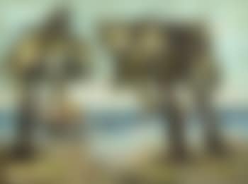 The palm trees (preview)