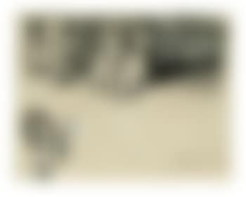 The Inland Printer (preview)