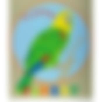 Parrot (preview)