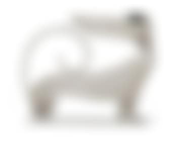 A dachshund (preview)