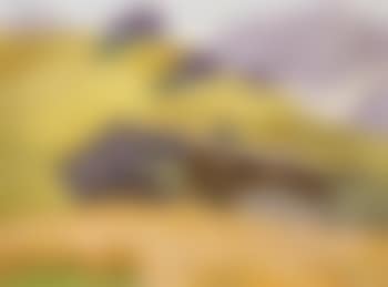 Sommer auf der Alm (Kaisergebirge) (preview)