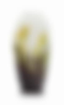 A 'Tulip' Vase, Circa 1920 (preview)