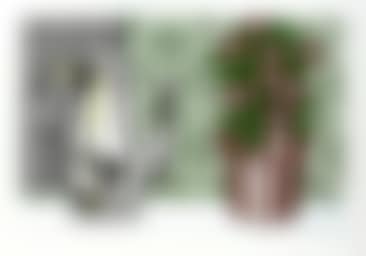 STILL LIFE WITH PITCHER AND FLOWERS (C. 130) (preview)