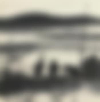 Cormorants (preview)