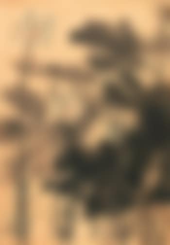 Lotus in Wind (preview)