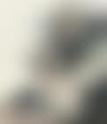 Landscape (preview)
