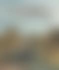Landscape (preview)