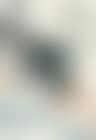 Landscape (preview)