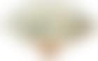 Beauty with bamboo by Chen Shaomei (preview)