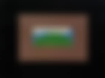 Indian View G (Heenk 17) (preview)