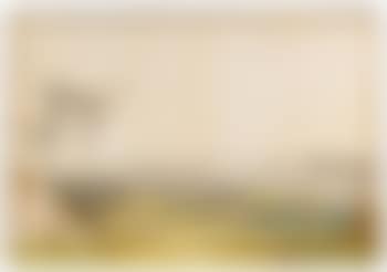 A panoramic view of Florence with a view of the cathedral and the Signoria (preview)