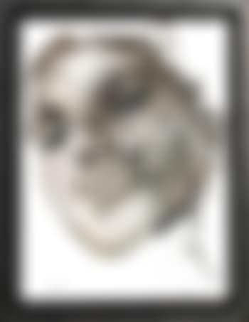 Visage (preview)