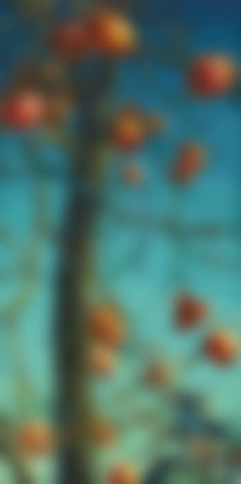 Persimmons (preview)