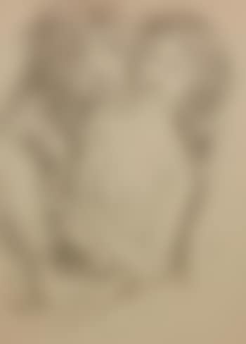 Le baiser du Faune (preview)
