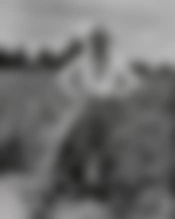 Bud Fields in his cotton field, Hale County, Alabama, Summer (preview)