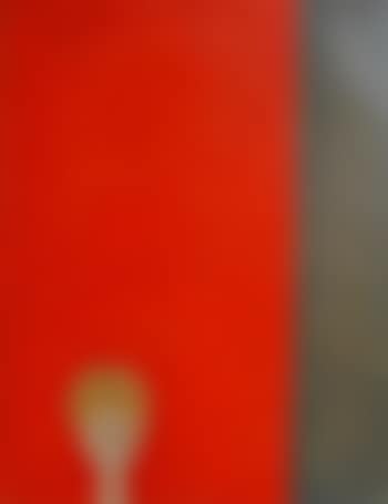Volto su fondo rosso (preview)