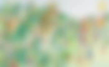 Jungle (preview)
