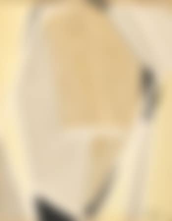 Kamilifu (preview)