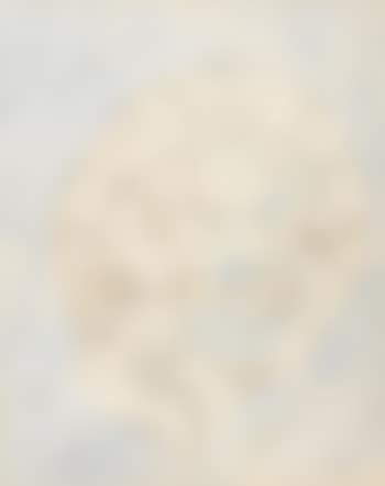 Le corail blanc... (preview)